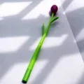 Tulp kleurveranderende gelpen, 0.5mm zwarte vulling, creatieve zachte rubberen schrijfwaren item. - Kleurveranderende tulp groen