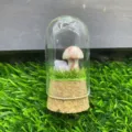 Vue de détail d'un dôme en verre de microlaysage de champignon en cristal avec base en mousse. - Pierre à Grille Rouge