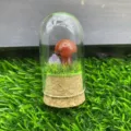 Gros plan d'un dôme en verre champignon cristal miniature avec mousse et détail de cristal. - Agate rouge