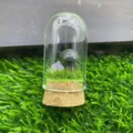 Gros plan détaillé du terrarium sous cloche en verre avec champignon en pierre et cristaux. - Agate mousse