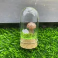 Miniature crystal mushroom glass display dome with cork base for desktop home decoration. - Strawberry Quartz