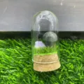 Gros plan detaille du paysage miniature de champignon en cristal sous dôme en verre. - Pierre de Sang Africaine