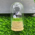 Détail de micro-paysage de champignon en cristal avec dôme en verre et base en liège. - Améthyste