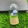 Vue détaillée de micro-paysage de champignon en cristal sous cloche de verre sur herbe. - Aventurine Bleue