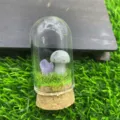 Détail de micro-paysage champignon en cristal, dôme en verre avec groupe de pierres - Labradorite