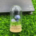 Vue de detail du micro paysage de champignon en cristal sous cloche de verre avec pierre. - Jaspe à Points Bleus