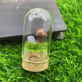 Mini paysage en dôme de verre avec champignon en cristal et améthyste pour décoration. - Pierre à Éclat Rouge