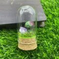 Champignon en cristal sous cloche en verre micro-paysage détail, belle déco en pierre. - Ruby Zoisite