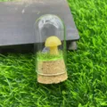 Vue détaillée d'un micro-paysage de champignon en cristal mignon sous cloche en verre et liège. - Topaze