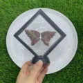 Natürliche Kristallstein Schmetterlingsflügel Skulptur Deko rosa Variante groß - Rhodonit (Flügel Set) / 10cm Set