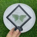 Natürliche Kristall Edelstein Schmetterlingsflügel im transparenten Rahmen 10cm - Grüner Aventurin / 10cm Set