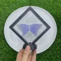 Natürliches Edelstein Schmetterlingsflügel Exemplar im schwarzen Schwebesrahmen. - Blauer Opalit / 10cm Set