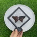 Natürliches Edelstein Kristall Schmetterling Flügel Set 10cm geschnitzte Figuren für Deko - Mahagoni-Obsidian / 10cm Set