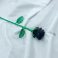 Crystal carved rose flower with green stem and leaves, elegant gemstone home decor gift. - Obsidian (Silver Branch)