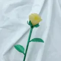 Figura Rosa di Cristallo Fiore Intagliato in Pietra Preziosa Stelo di Metallo Regalo - Travertino (Ramo Argento)