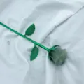 Fiore di rosa intagliato in cristallo di avventurina verde con stelo in metallo - Avventurina (Ramo Argento)