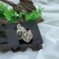 Natural stone carved cat figurine crystal gemstone cute tail-up kitty desktop decor - Roadside Stone / 3cm / Gray