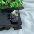 3cm Naturstein Adler Figur Handgeschnitzte Halbedelstein Kristall Vogel Statue Deko - Zebrastein