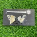 Natural semi-precious stone carved butterfly wings crystal specimen set with ruler display detail. - Zebra Stone