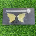 Natural semi-precious stone crystal fairy wings carving pair for jewelry making crafts decor - Golden Steatite
