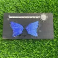 Natural blue crystal butterfly wings gemstone jewelry making DIY crafts 10cm set pair. - Blue Opalite