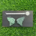 Natural green crystal butterfly wings set 10cm gemstone wings for DIY jewelry craft. - Green Spot Jasper