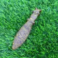 Pugnale in cristallo di pietra semi-preziosa naturale da 12cm decorazione da collezione - Giada Seta Oro