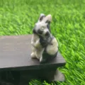 Natuursteen gesneden schattig konijn beeldje 4cm kristal dier standbeeld bureau - Zebrasteen