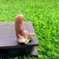 Figurine Gaia Mère Terre en Cristal Naturel 1.5 Pouce, Sculpture de Pierre Guérison - Rhodonite