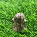 Cute 3cm natural stone ghost figurine, carved crystal ghost for Halloween decor. - Leopard Jasper