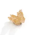 Golden glitter butterfly button covers decorative clothing accessories for stylish apparel styling - 8#
