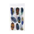 Kleurrijke veren washi stickers voor dagelijks gebruik en ambachtelijke decoratie. - Dromerige Veer