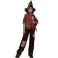 Details of the Halloween scarecrow costume feature plaid shirt, fringe, and pointy hat. - S/M / Set / Boy (Multicolor)