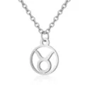 Stainless Steel Taurus Zodiac Sign Pendant Necklace Silver Color Astronomical Jewelry Accessory - Taurus / Silver