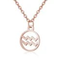 Rose gold stainless steel Aquarius constellation necklace with a hollow circle pendant design. - Aquarius / Rose Red