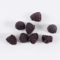 Artificial raspberry simulation fruit model fake berry photography props decoration - Small Blackberry / 2.2cm / Black