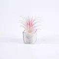 Mini pianta succulenta artificiale in vaso quadrato trasparente con pietre bianche 7cm - Pianta aerea rosa in vaso