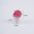 Mini pianta grassa artificiale in vaso, piccola pianta finta verde per decorazione casa. - Pigna rossa floccata in vaso