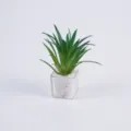 Piccola pianta succulenta finta in vaso quadrato trasparente con pietre bianche per decoro. - Pianta di erba spada verde in vaso