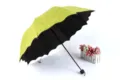 Foldable UV protection sun umbrella with green canopy and black interior, scalloped edge. - Radius: 55cm * 8K Umbrellas / Fruit Green