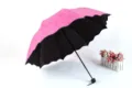 Rosa Faltschirm mit schwarzem UV-Schutz-Futter, magischem Blütendesign und Wellenrand. - Radius: 55 cm * 8K Regenschirme / Fuchsia
