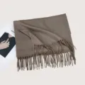 Herbst Winter einfarbige Imitation Kaschmir Schal, elegante warme Fransen Schal Damen. - F007 Kaffeebraun