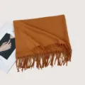 Herbst Winter einfarbiger weicher Kunstkaschmir Fransen Schal warme elegante Damen Stola. - F013 Orange