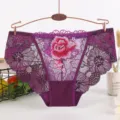 Women sexy purple lace panties with beautiful embroidered red rose floral design and breathable crotch. - One Size / Purple