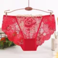 Women sexy red lace panties floral embroidery breathable cotton underwear main shot - Burgundy