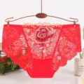 Red floral embroidered lace women's sexy breathable pure cotton crotch briefs underwear - One Size / Red
