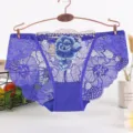 Women's sexy floral lace briefs with breathable pure cotton crotch, beautiful blue underwear. - Sapphire Blue