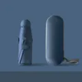 Compacte vijfvoudig opvouwbare mini capsule paraplu met bijpassende harde etui, UV-bescherming. - Ronde paraplu met 8 baleinen, grijsblauw (volledige verduistering)