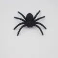 Halloween zwarte glitter spin speelgoed eng feest spookhuis bar decoratie rekwisiet - 7cm*7cm / Zwart roze