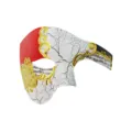 Halloween Halbmaske Maskerade Venedig Stil Oper Phantom Kostüm Party Zubehör für Damen. - Rissige Musiknoten Halbgesicht - Schwarz Rot